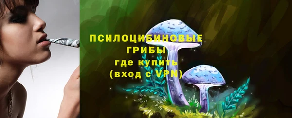 герыч Арсеньев
