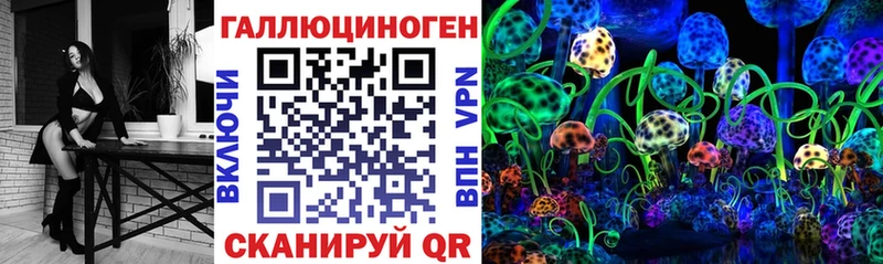 Псилоцибиновые грибы Psilocybine cubensis  наркотики  hydra ссылка  Сокол 