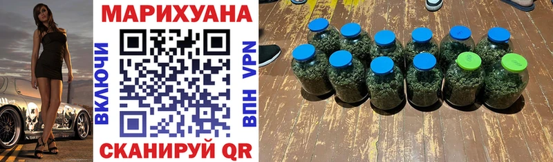 Бошки марихуана Amnesia  Сокол 